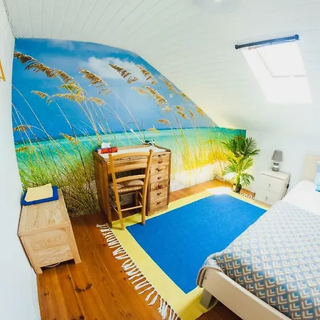 Farol De Vida Coimbra